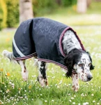 Horseware Amigo Ripstop Dog Rug 100G Navy Hw Print / Burgandy & White Blanket. Fixed Price $44.12.