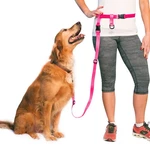 The Buddy System Hands Free Dog Leash For Running, Jogging, Walking Pets. Fixed Price $53.14.