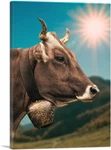 Artcanvas Cow With The Bell Field Home Decor Print. Fixed Price $80.09.