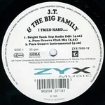 J.t. And The Big Family - Tried Hard..., 12", (vinyl). Fixed Price $17.48.