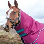 Shires Highlander 300G -neck Cover Raspberry Small. Fixed Price $25.00.