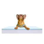 Pet Bed Foam Insert/dog Pad (3"X26"X34"). Fixed Price $59.07.
