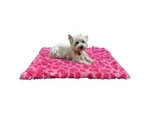 The Dog Squad Medium Minkie Binkie Blanket Giraffe Shag Hot Pink New. Fixed Price $35.00.