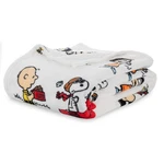 Berkshire Blanket Peanuts Velvetloft Cute Character Snoopy Plush. Fixed Price $33.43.