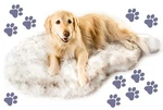 Paw Brands Puprug Orthopedic Bed For Large Dogs With Fluffy Soft Faux Fur. Fixed Price $172.42.