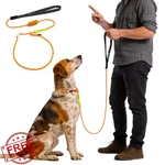 Beaugo Dog Leash 6FT Orange Slip Lead Training Rope Collar. Fixed Price $20.00.