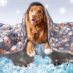 Leekalos Pet Cooling Mat - Dog & Cat Summer Blanket. Fixed Price $30.99.