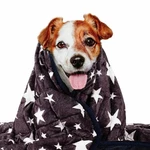 Weighted Blanket For Pets Thunder Dogs Anxiety Premium Soft Minky. Fixed Price $36.81.