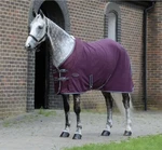 Weatherbeeta Wick-dri Standard Neck Cooler(brand New)(size 81. Fixed Price $39.99.