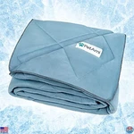 Petami Premium Lightweight Reversible Cooling Dog Blanket 40X60, Dusty Blue. Fixed Price $62.98.