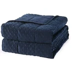 Mr. Sandman Weighted Blanket For Adults - Minky Heavy, Sleep Calm & Cozy 80X60. Fixed Price $25.00.