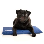 Coolerdog Mini Hydro Cooling Mat. Fixed Price $39.99.