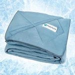 Petami Premium Cooling Dog Blanket Lightweight Fluffy Throw Bed.... Fixed Price $55.47.
