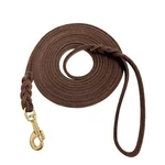 Guiding Star Long Leash For Dogs Outside Line Training Extra. Fixed Price $60.90.