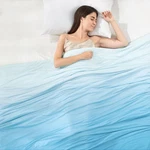 Elegear Cooling Comforter Queen Size Absorbs Body Heat To Keep Cool, Double-s.... Fixed Price $72.63.