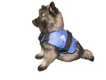 Hyperkewl Evaporative Cooling Dog Coat X-small Xs. Fixed Price $7.95.