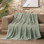 Lucky Brand Solid Plush 50"X70" Throw Blanket, Desert Sage Green - Soft, Cozy.... Fixed Price $44.81.