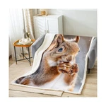 Cute Squirrel Print Fleece Throw Blanket 4D Animal Theme Sherpa Bla... Fast Ship. Fixed Price $46.99.