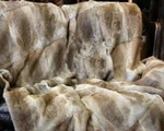 Natural Real Rabbit Fur Throw Soft Bedspread Blanket Luxury Whole 4.6X5.2FT. Fixed Price $169.99.