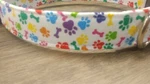Colorful Paws Dog Collar Buckle Martingale Order With Leash Set. Fixed Price $13.95.