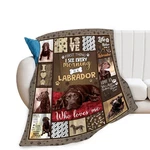 Labrador Dog Throw Blanket Cozy Plush Chocolate Retriever Lover Flannel Fleec.... Fixed Price $32.23.