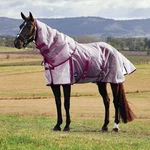 Weatherbeeta Comfitec Ripshield Plus Detach Neck Fly Sheet. Fixed Price $139.99.