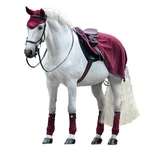 Rambo Grand Prix Competition Sheet. Fixed Price $104.49.