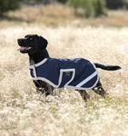 Amigo Ripstop Waterproof Dog Blanket. Fixed Price $39.95.