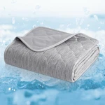Leakproof Cooling Blanket For Large Dogs Q-max 0.4, Durable & Washable. Fixed Price $70.99.