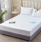Queen Size 100% Waterproof Mattress Protector, Quilted Cooling Fitted Bed Mat.... Fixed Price $43.22.