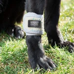Terrain Dog Cooling Band - Icing Therapy For Pet Joints Machine.... Fixed Price $32.98.