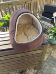 Best Dog And Cat Bed - Dark Brown Covered Cozy. Fixed Price $15.00.