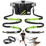 Shine Hai Retractable Hands Free Leash With Dual Bungees For 2 Dogs, Adjusta. Fixed Price $53.99.