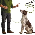 Beaugo Dog Leash Slip Lead Training Rope No Pull Collar For Small Medium. Fixed Price $37.31.