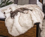 Pupprotector Waterproof Throw Blanket For Dogs And Cats, Pet Cover Fo.... Fixed Price $154.91.