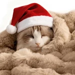 Cat Plush Faux Fur Blanket - 21"X18" Reversible Washable Coffee Pet Throw. Fixed Price $40.48.