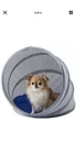 New Pawslife Pop Up Portable Shelter Bed Tent Small Medium Dog Cat Pet Travel. Fixed Price $18.99.