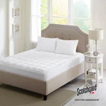 Sleep Philosophy Highline 3M Microfiber Mattress Pad Soft Topper Stain Resistant. Fixed Price $32.99.