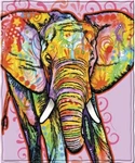Colorful Elephant Dawhud Direct Fleece Blanket For Bed 50 X 60 Inch Dean Russo. Fixed Price $17.50.