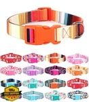 Moonpet Dog Collar Orange Stripes Floral Bohemia Puppy. Fixed Price $20.00.