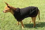 Eous Dog Blanket Black Fleece Gold Trim Xl (29"). Fixed Price $14.95.