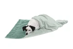 Furhaven Waterproof Throw Blanket For Dogs & Indoor Medium, Celadon Green. Fixed Price $25.19.