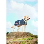 Weatherbeeta Comfitec 1200D Therapy-tec Dog Coat, Black/silver/red, 12". Fixed Price $74.99.