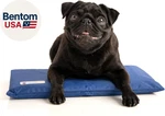 Hydro Cooling Mini Mat For Dogs & Pad Hot Weather. Fixed Price $66.28.