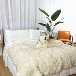 Pupprotector Waterproof Throw Blanket For Dogs And Cats Pet White Tan Accents. Fixed Price $59.00.