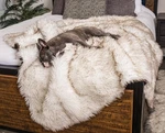 Pupprotector Waterproof Throw Blanket For Dogs And Cats, Pet Cover Fo.... Fixed Price $134.74.