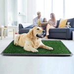 Dog Grass Puppy Training Pee Pad With Tray, Potty 2 Replacement Arti.... Fixed Price $73.84.