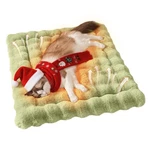 Somahe Pet Bed Mat: Plush Faux Fur, Non-slip, For Cats & Dogs, 23X15, Green. Fixed Price $44.70.