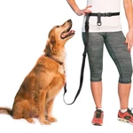 The Buddy System Adjustable Hands Dog Leash, Hand-free For Running.... Fixed Price $41.75.
