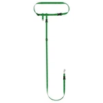 The Buddy System Hands Free Dog Leash For Running, Jogging, & Training - Usa Mad. Fixed Price $38.08.